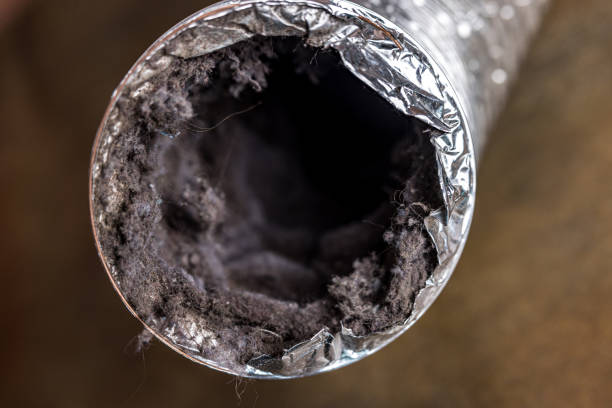 Best Affordable HVAC Duct Cleaning  in USA